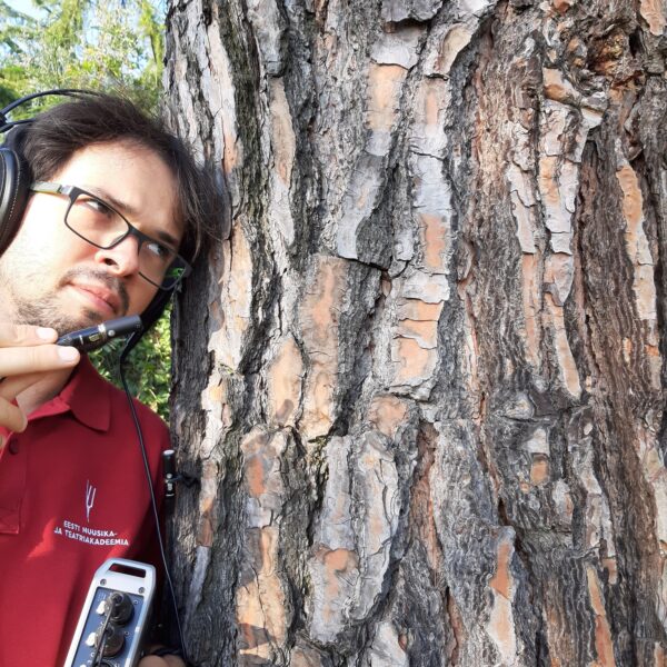 Peter Bajetta recording a tree